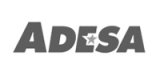 Logo-Adesa-NV.jpg
